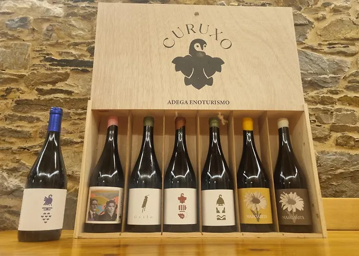 Casa Grilo Сasa de vacaciones Monforte De Lemos